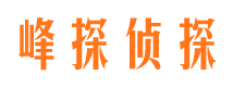 铜陵找人公司